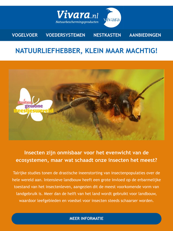 🐞 Kleine dieren, groot effect