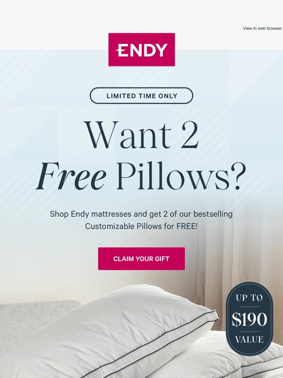 Not just one, but TWO free pillows 😮