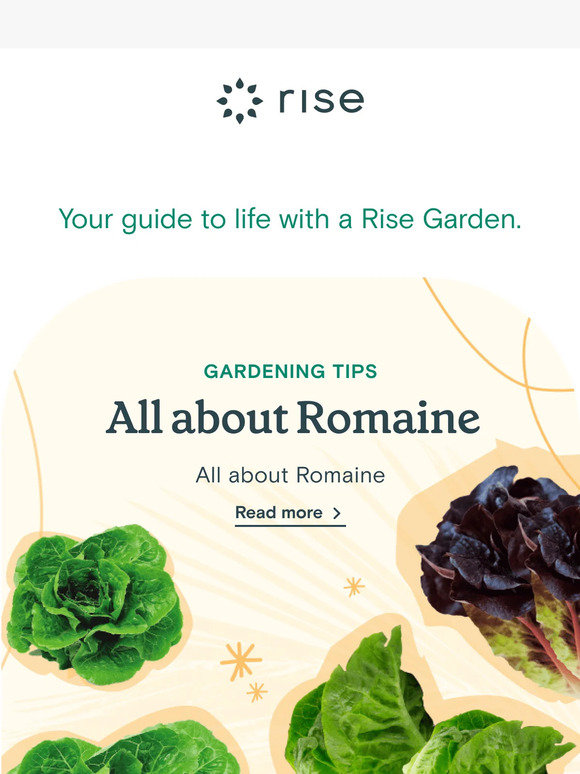 This Week at Rise Gardens Vol. 36 🌱🥗
