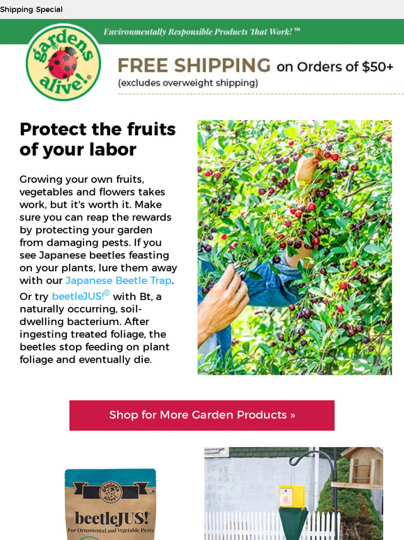 Gardens Alive! Tips for safeguarding your plants in July Milled