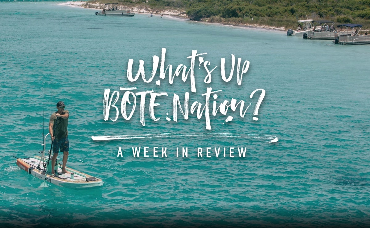 BOTE Week in Review