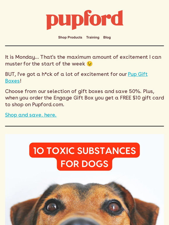 Photo inspiration: Pupford Article 10 Of The Most Toxic Substances For Dogs Photo Inspiration
