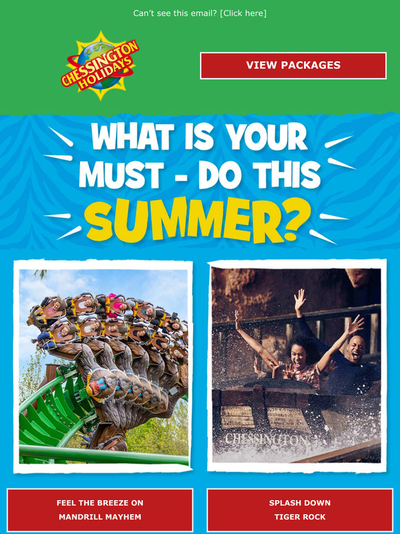 Make your decision…🎢 👀