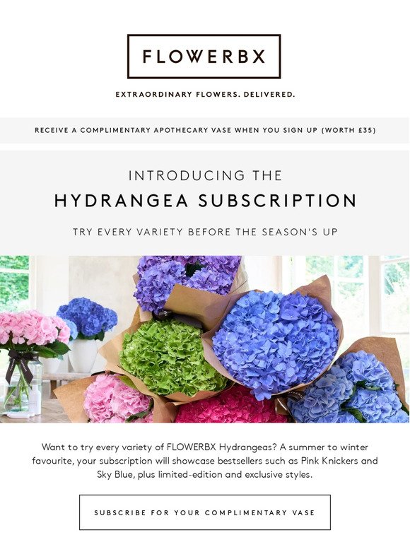 Our favourite Hydrangea Subscription is here