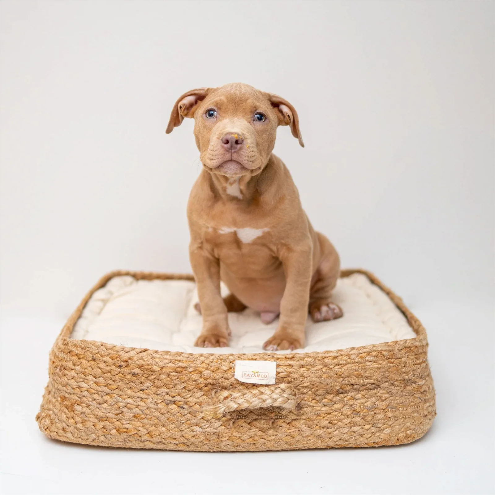 Image of Tucker All Natural Pet Bed
