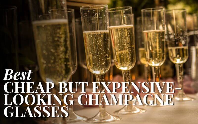 Advanced Mixology 22 Inexpensive But Stunning Champagne Glasses Milled