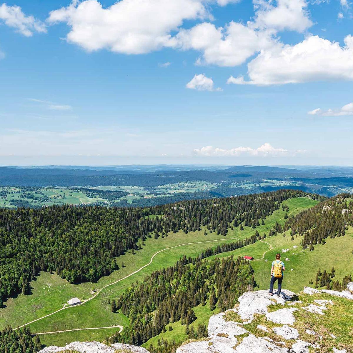 Anita Brechbühl steht auf einem Felsen mit Aussicht über das Jura Gebiet
