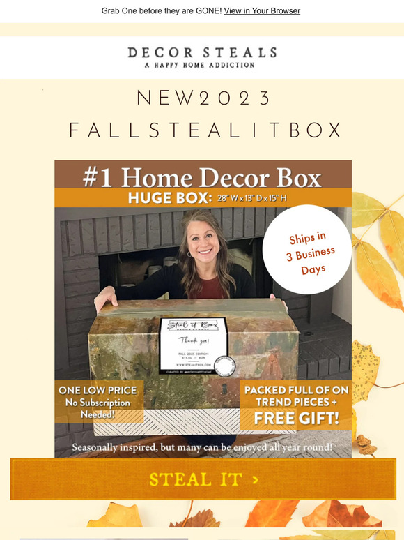 Decor Steals 🍂The FALL 2023 Steal It Box is HERE!! Milled