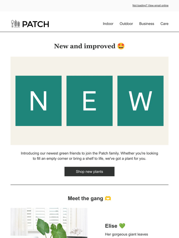 Patch Plants New plants have arrived 🌱 Milled