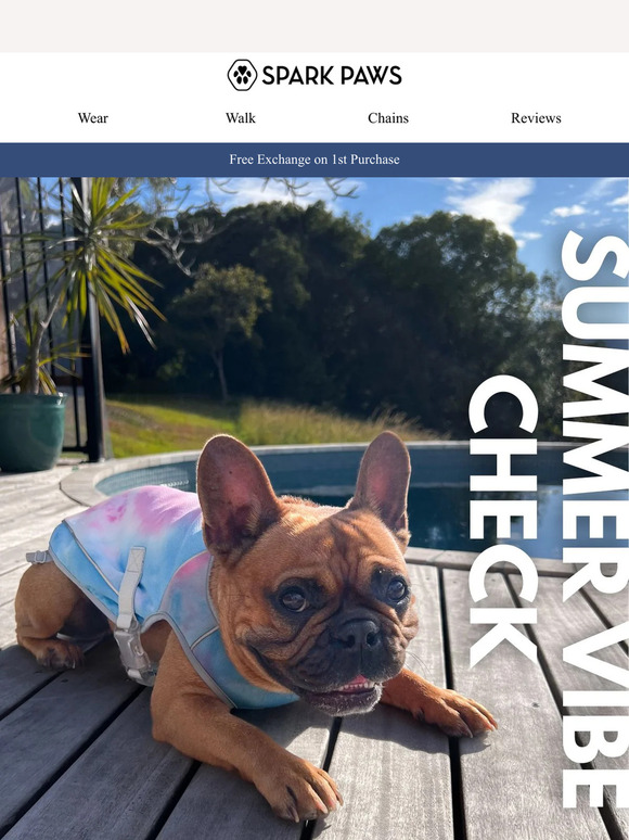 Summer Vibe Check 🐶😎