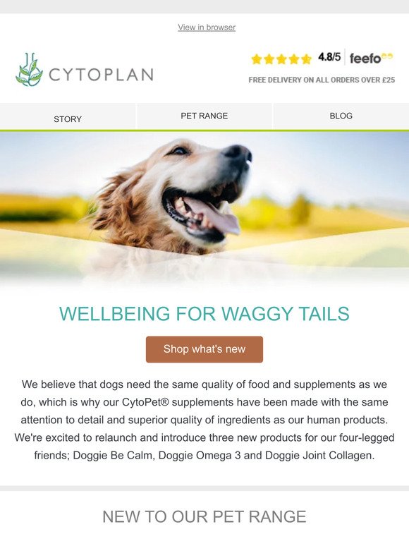 Wellbeing for waggy tails