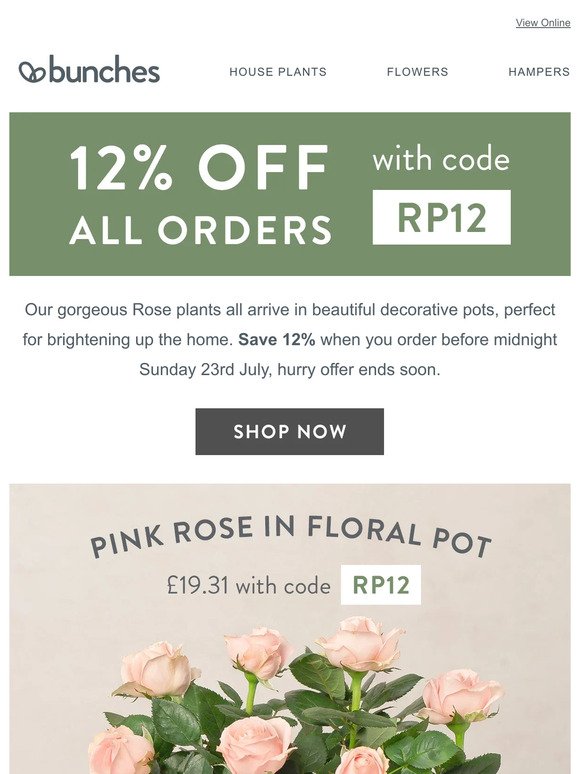 Send a beautiful flowering Rose plant and save 12%