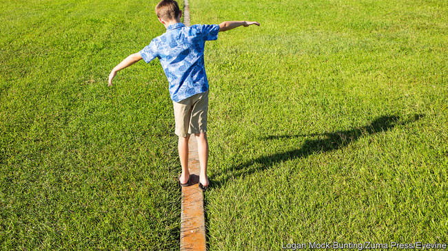 Image article 5