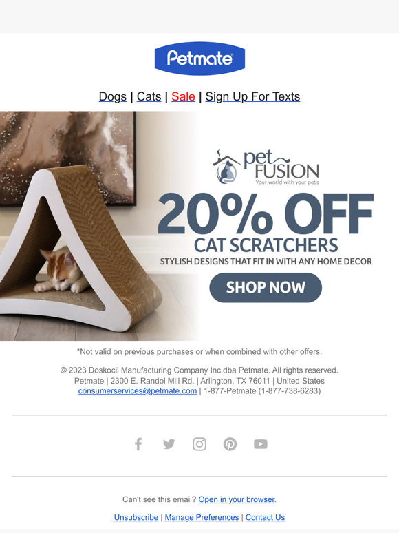 Treat Your Cat to 20% Off 😸