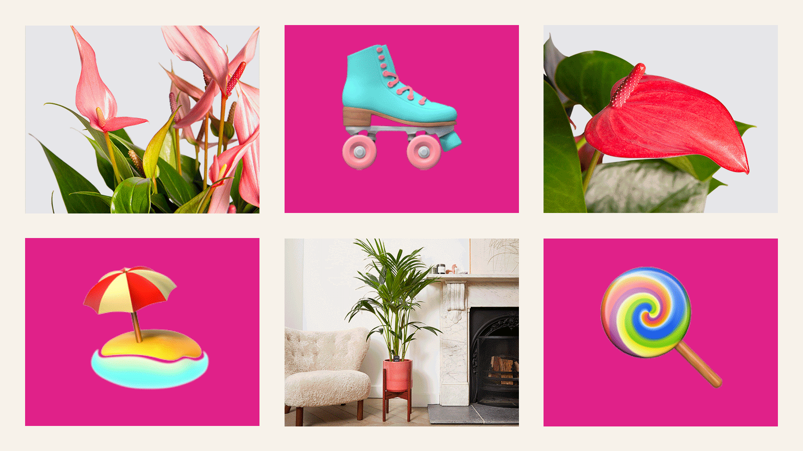 Patch Plants Shop Barbie's dream plants 💖 Milled