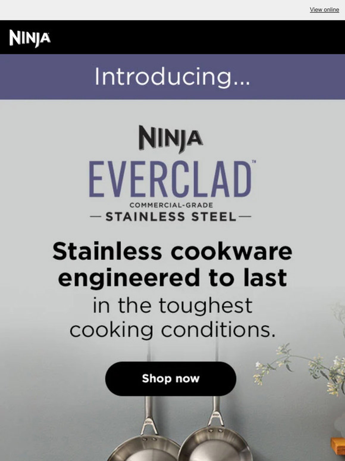 Ninjakitchen: Announcement: New Ninja® Foodi™ products are coming