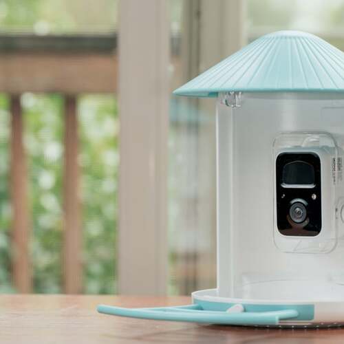 Smart Birdwatching: The Netvue Birdfy Feeder AI