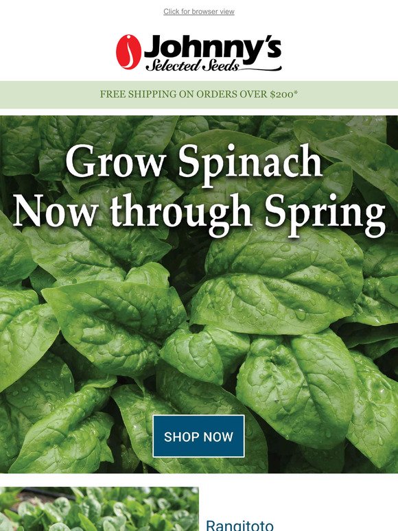 Supercharge Your Spinach Production
