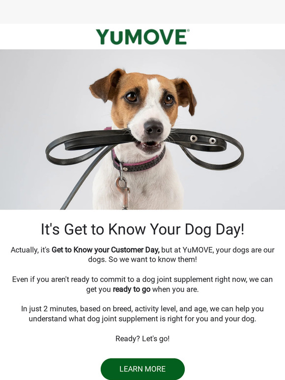 🐕 Let's Get to Know Your Dog. Together! 🐕