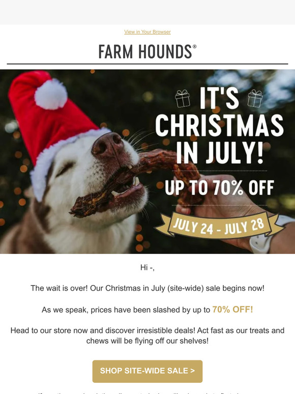 Xmas July Sale | begins now!