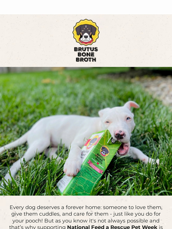 National Feed a Rescue Pet Week 🐶
