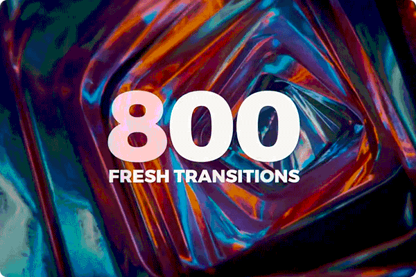 800 Fresh Transitions