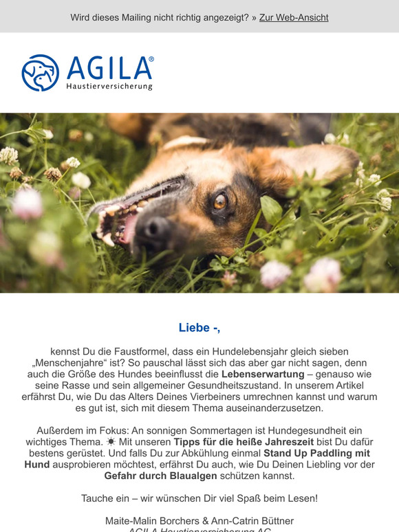 ➜ Wie alt werden Hunde? Hier herausfinden!