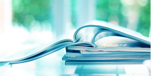 Journal publishing at Springer