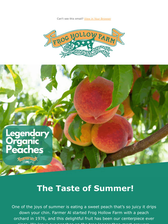 Organic O'Henry Peaches  Pre-Order – Frog Hollow Farm