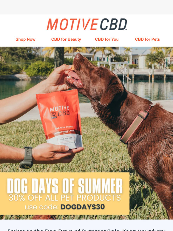 Dog Days of Summer Sale: Fetch 30% Off on All Your Pet's Favorites! 🐾