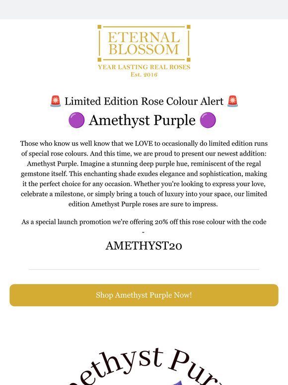 🚨 Limited Edition Rose Colour Alert 🚨 Amethyst Purple 🚨