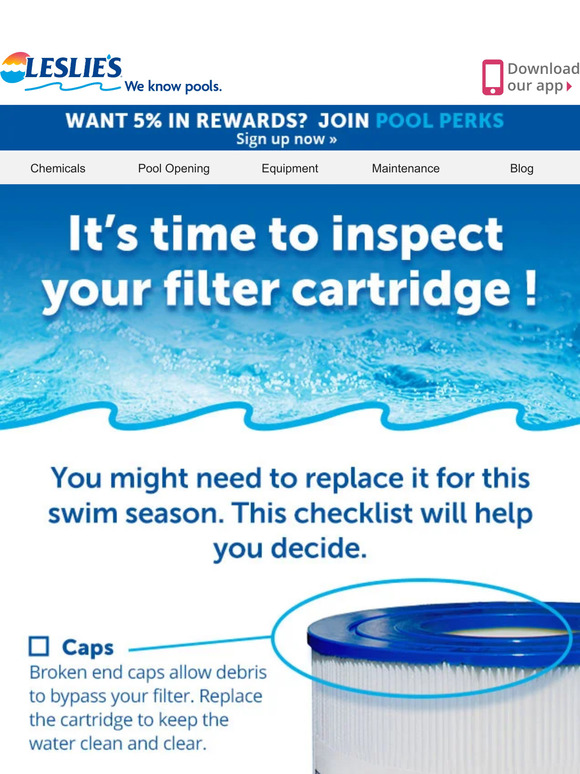 Leslie's Pool Supply 🤔 Time to [Clean] or [Replace] Your Cartridge