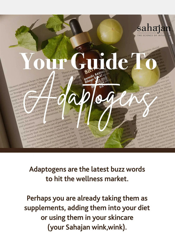 Your Guide To Adaptogens ✨