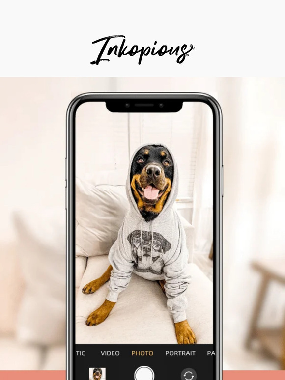 It's a picture-pawfect day! 📸✨