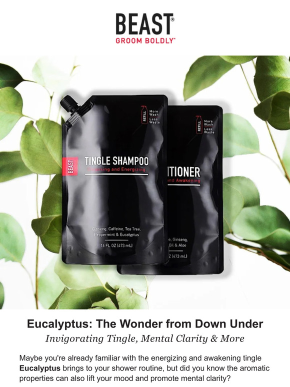 Eucalyptus: Add it to Your Routine Today