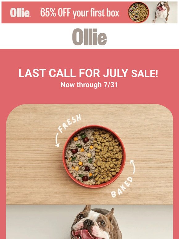 Last Chance: July sale ending soon! ⏰