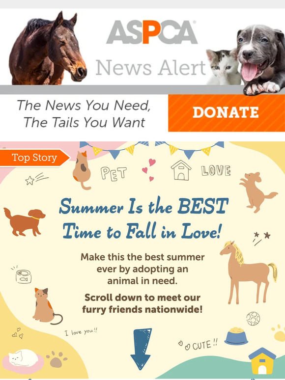 Adoptable Animals Inside! [See the Cuteness]