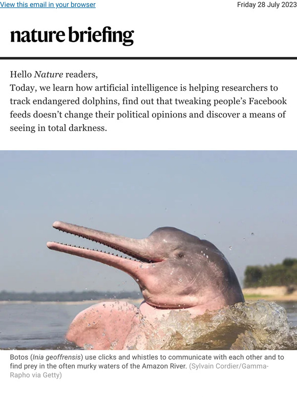 Nature Artificial Intelligence Eavesdrops On Endangered Pink Dolphins