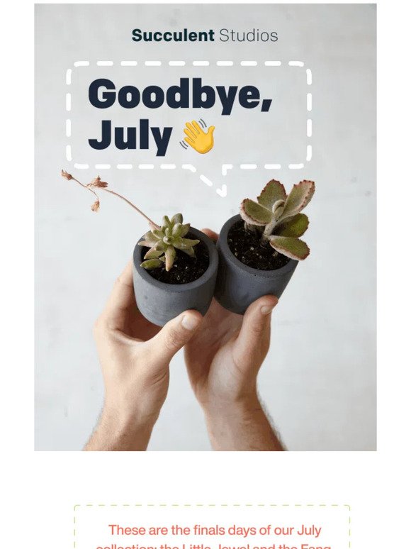 Say B Y E to the JULY plants 👋😭