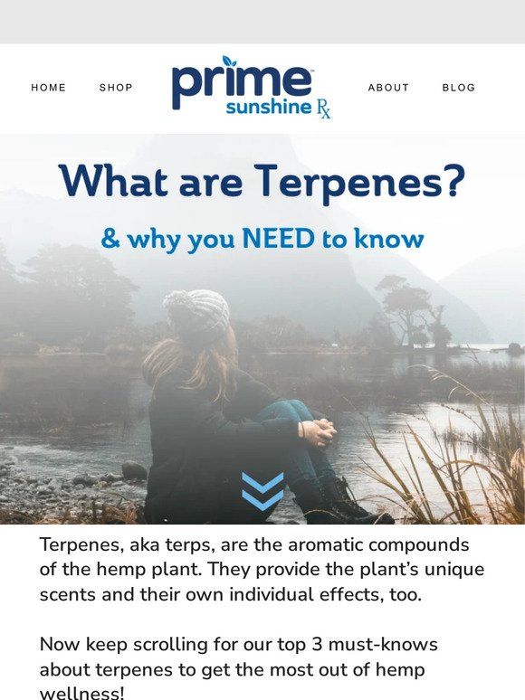 🍃 What are terpenes? 3 must-knows!