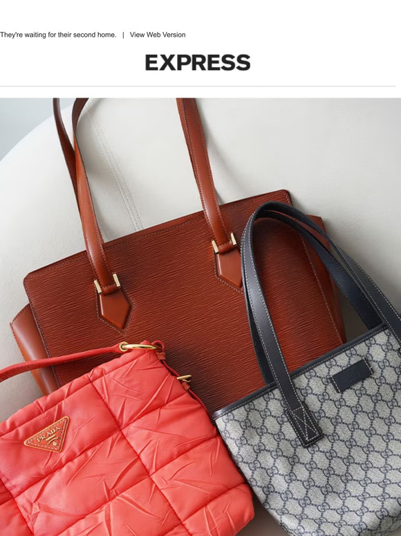 ✨ Prada, Luis Vuitton & MORE inside this email ✨