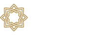 vistara fly the new feeling