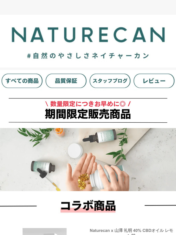 【期間限定⏰】数量限定販売中の商品と人気商品をご紹介🍃