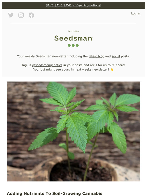 SeedsMan How to ensure nutrientrich soil for your cannabis 🌱 Milled
