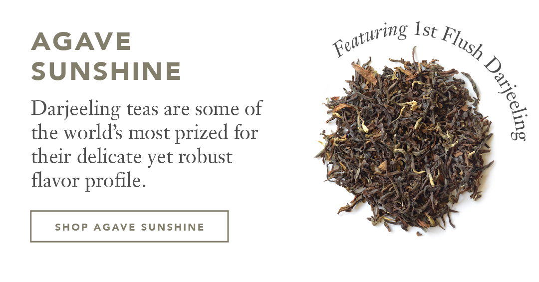 agave  sunshine Darjeeling teas are some of the world’s most prized for their delicate yet robust  flavor profile.