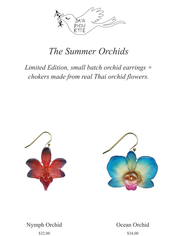 Limited Edition Summer Orchids