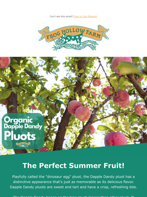 Organic Cal Red Peaches  Pre-Order – Frog Hollow Farm