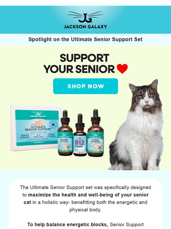 The Perfect Way to Support Your Senior 🐱