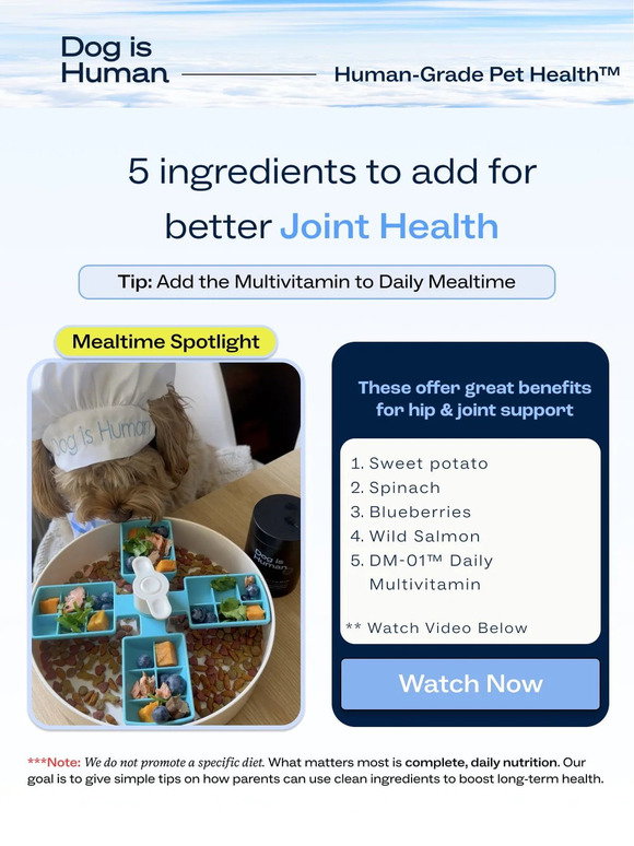 Image showcasing Dog is Human: 5 Fresh Ingredients for Joint Health | Milled