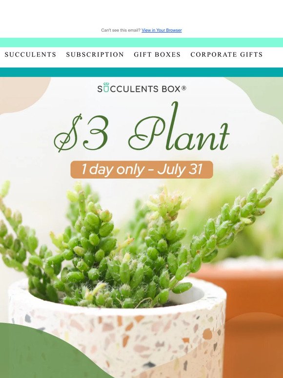Get a $3 Plant Today- Limited Time Offer!
